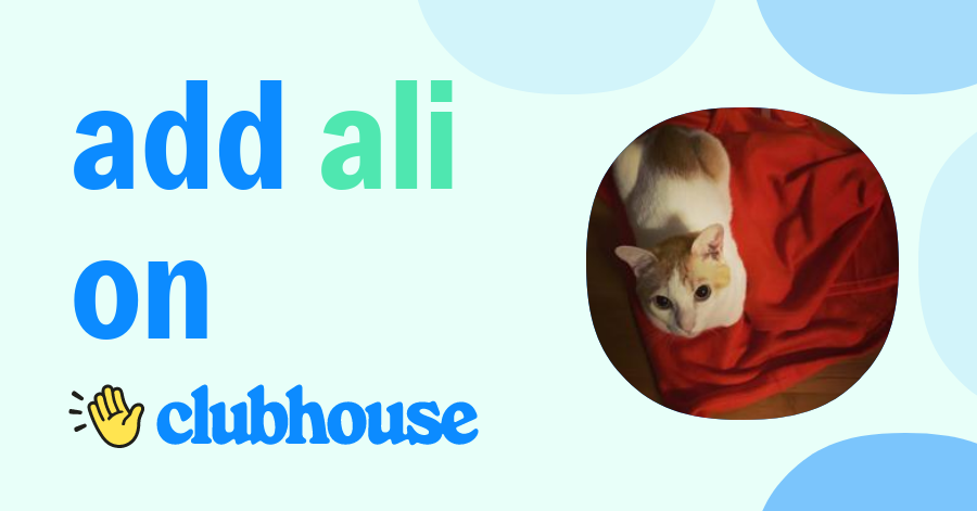 Ali Cat Clubhouse