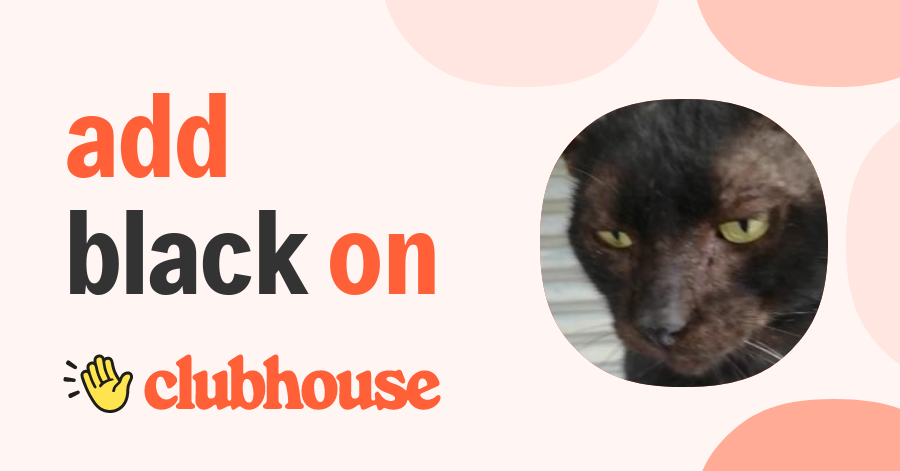 Black Cat Clubhouse