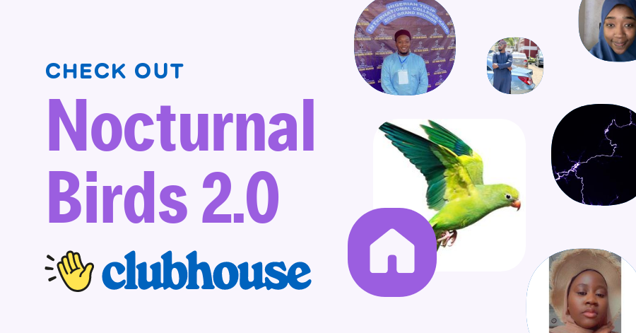 Nocturnal Birds 2.0