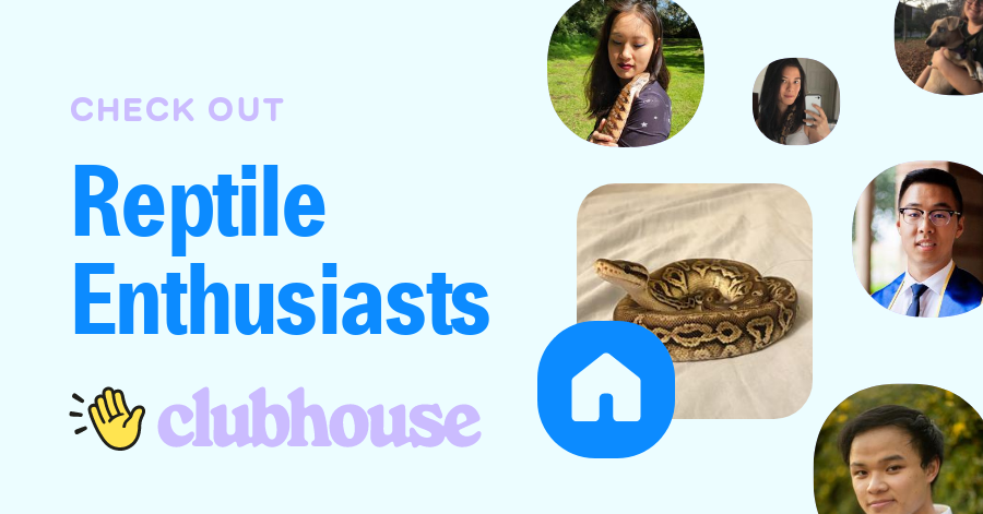 Image showcasing Reptile Enthusiasts