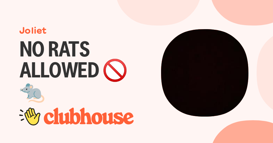 NO RATS ALLOWED 🚫🐀